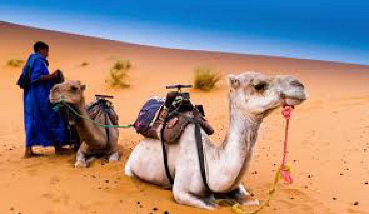 Les Pyramides Hotel Merzouga Buitenkant foto